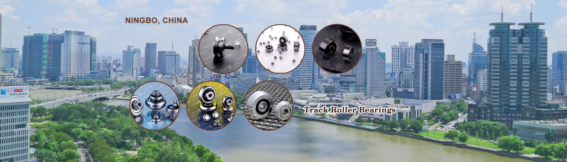 Track Roller Bearings